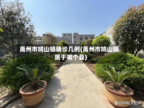 禹州市鸠山镇确诊几例(禹州市鸠山镇属于哪个县)