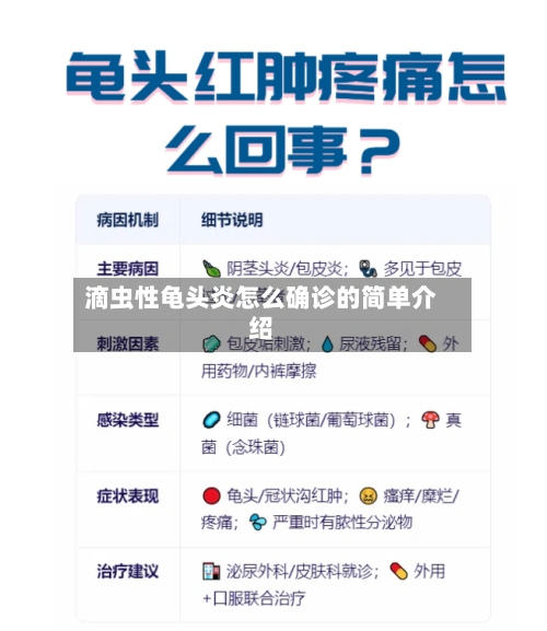 滴虫性龟头炎怎么确诊的简单介绍-第3张图片