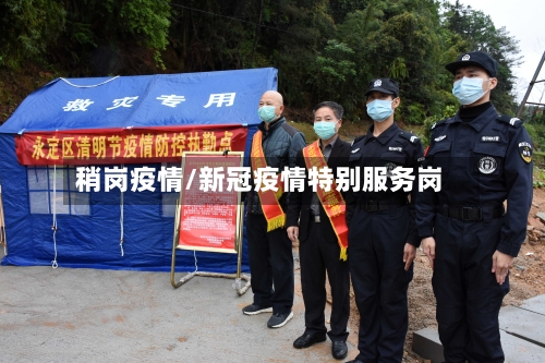 稍岗疫情/新冠疫情特别服务岗-第3张图片