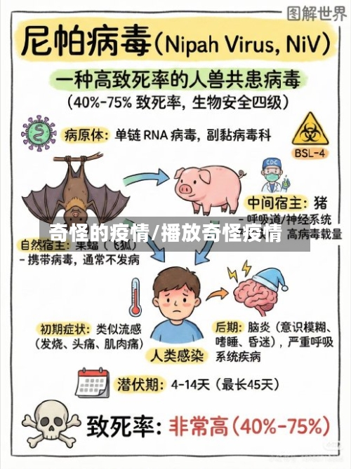 奇怪的疫情/播放奇怪疫情-第2张图片