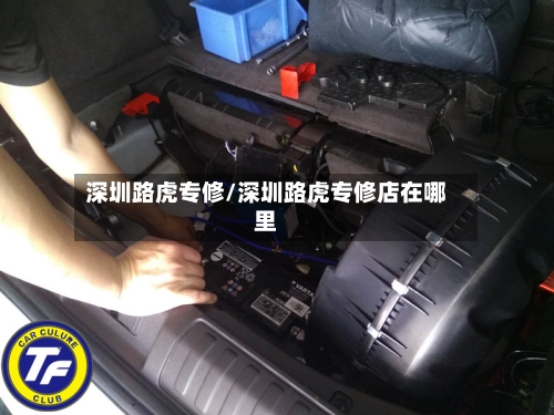 深圳路虎专修/深圳路虎专修店在哪里