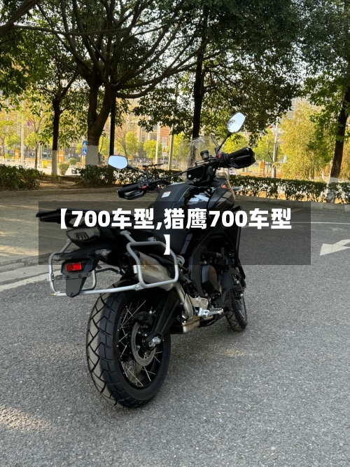 【700车型,猎鹰700车型】